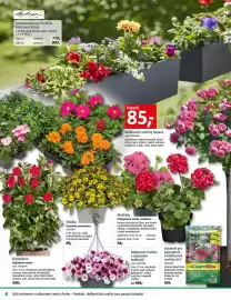 Bauhaus leták Strana 4