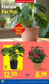 Lidl weekly ad week 17 Page 28