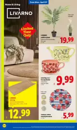 Lidl weekly ad week 17 Page 38