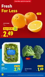 Lidl weekly ad week 17 Page 8
