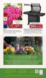 Pflanzen Kölle Prospekt woche 17 Seite 14