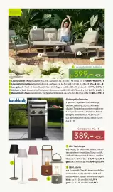 Pflanzen Kölle Prospekt woche 17 Seite 11