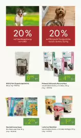 Pflanzen Kölle Prospekt woche 17 Seite 12