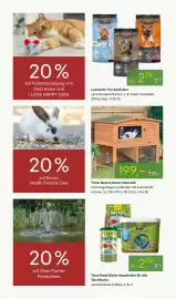 Pflanzen Kölle Prospekt woche 17 Seite 13