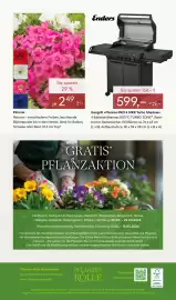 Pflanzen Kölle Prospekt woche 17 Seite 14