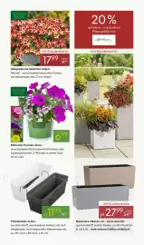 Pflanzen Kölle Prospekt woche 17 Seite 3