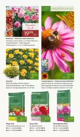 Pflanzen Kölle Prospekt woche 17 Seite 5