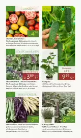 Pflanzen Kölle Prospekt woche 17 Seite 9