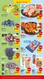 PENNY Prospekt woche 17 Seite 32