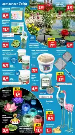 Thomas Philipps Prospekt woche 17 Seite 13