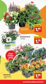 Thomas Philipps Prospekt woche 17 Seite 3