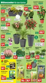 Thomas Philipps Prospekt woche 17 Seite 6