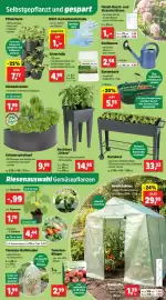 Thomas Philipps Prospekt woche 17 Seite 7