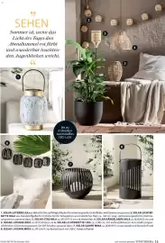 Dehner Prospekt Seite 13