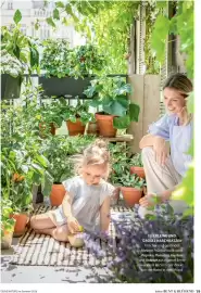 Dehner Prospekt Seite 19