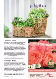 Dehner Prospekt Seite 23