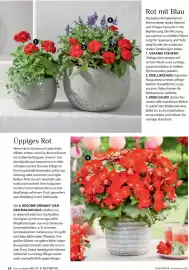 Dehner Prospekt Seite 24