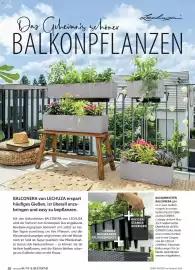 Dehner Prospekt Seite 28