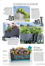 Dehner Prospekt Seite 29