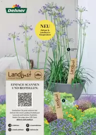 Dehner Prospekt Seite 33