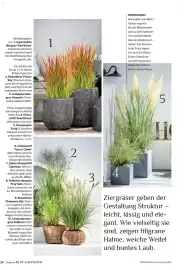 Dehner Prospekt Seite 34