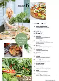 Dehner Prospekt Seite 4