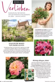 Dehner Prospekt Seite 40