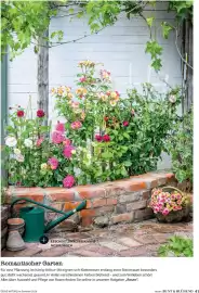 Dehner Prospekt Seite 41