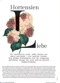 Dehner Prospekt Seite 44