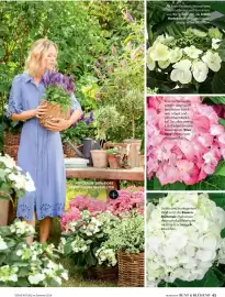 Dehner Prospekt Seite 45