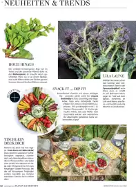 Dehner Prospekt Seite 52