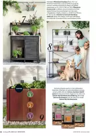 Dehner Prospekt Seite 60