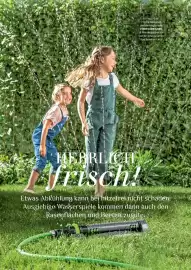 Dehner Prospekt Seite 62