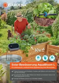 Dehner Prospekt Seite 65