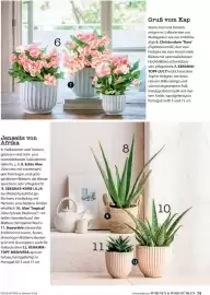 Dehner Prospekt Seite 79