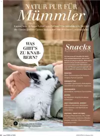 Dehner Prospekt Seite 92