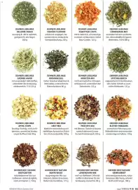 Dehner Prospekt Seite 93