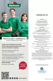 Dehner Prospekt Seite 98