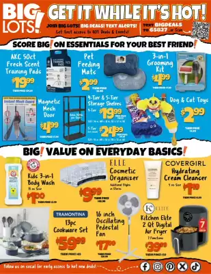Big Lots (valid until 23-04)