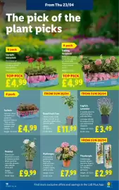 Lidl leaflet week 17 Page 22