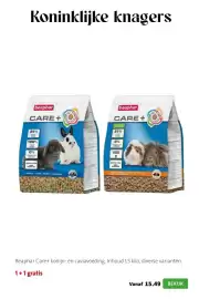 Intratuin folder week 17 Pagina 13