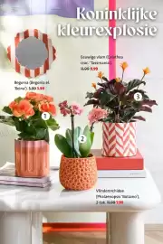 Intratuin folder week 17 Pagina 2