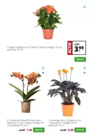 Intratuin folder week 17 Pagina 3