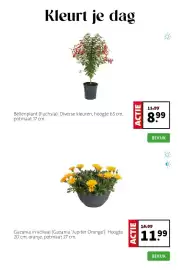 Intratuin folder week 17 Pagina 4