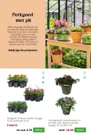 Intratuin folder week 17 Pagina 5