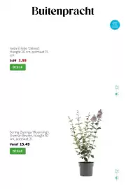 Intratuin folder week 17 Pagina 6