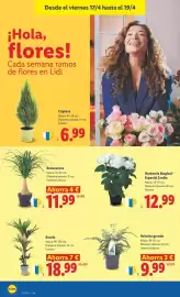Catálogo Lidl semana 16 Página 38