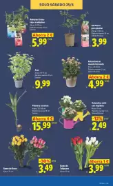 Catálogo Lidl semana 16 Página 41
