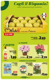 Volantino Coop Radenza Pagina 14