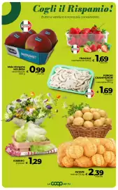 Volantino Coop Radenza Pagina 15